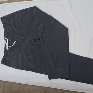 James Perse Charcoal Jogger Pants 4